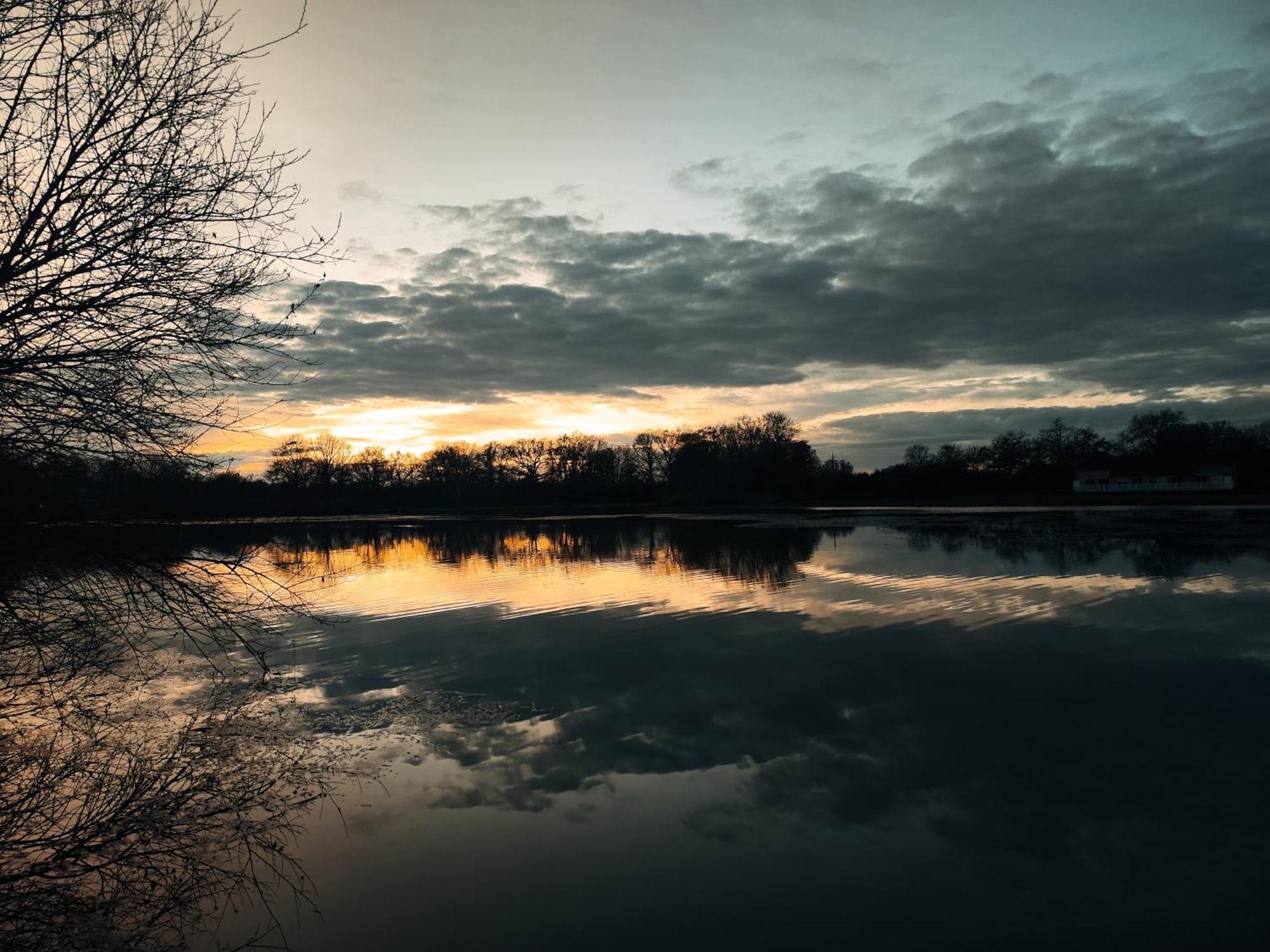 Domaine De La Roseliere • Nature • Brenne Rosnay  Eksteriør bilde