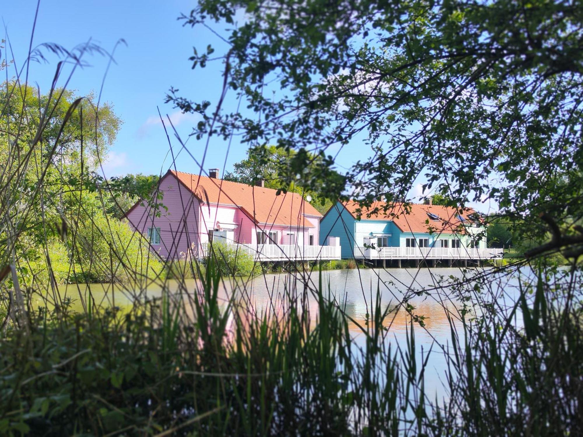 Domaine De La Roseliere • Nature • Brenne Rosnay  Eksteriør bilde